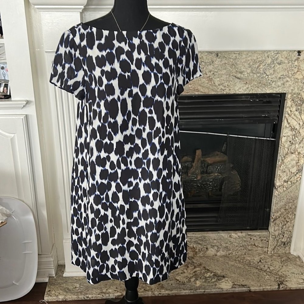 Blue and White Patterned Kate Spade Dress